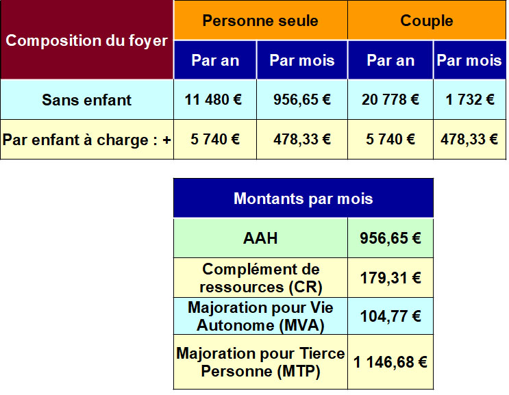 Allocation Adulte Handicapé (AAH) – Info Handicap